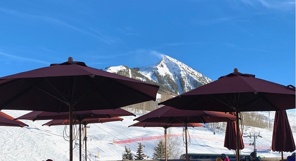 purple parasols with mountain view in background