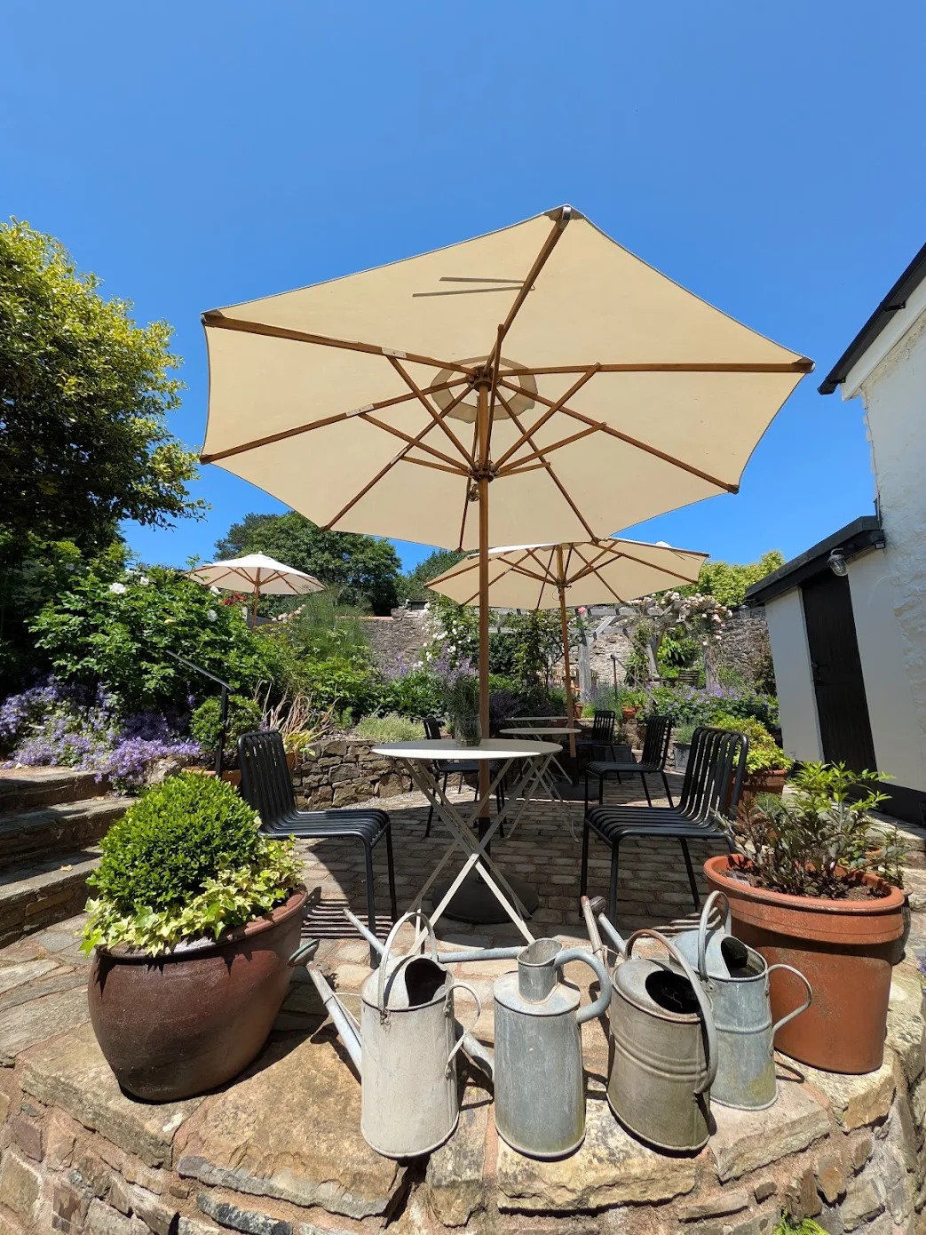 parasols in British garden